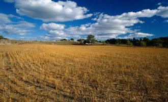 事业单位人员不能有的六种行为_江苏事业单位