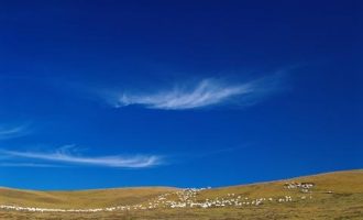 体制中最苦的一类人_主任