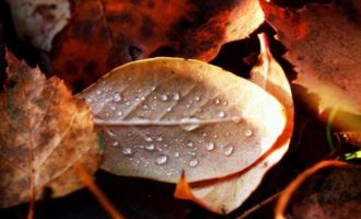 晋升正处级“90后”干部的共同点：名校毕业！_甘肃公务员