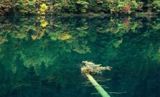 公务员津贴补贴或将被砍？中央发文！_中央公务员