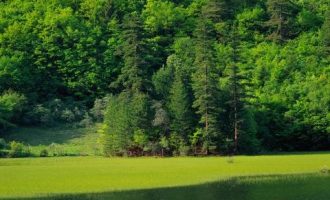 7599992_辅警招聘考试