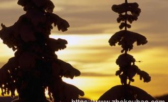 干部任前公示（2020年12月13日）_公务员公示