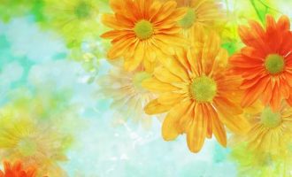 2020年德州市遴选热点：一线调研抓“活鱼”_2020中央遴选真题天川