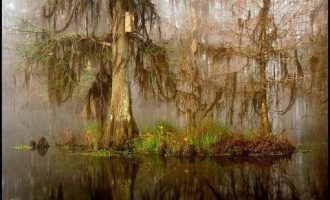 “私车公用”油钱、停车费，怎么办？_成都市市长