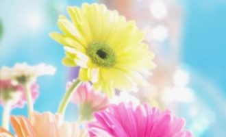 爬上屋顶的驴（经典好文）_工作总结汇报