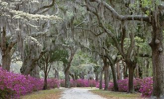 意识形态党课：提升党员干部意识形态能力，巩固党群基础和执政基础！_党群工作总结