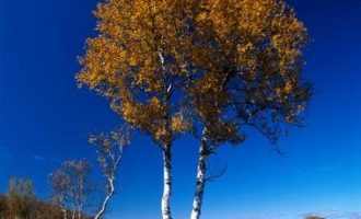 清华毕业市委书记，全程脱稿饱含震撼力：干部不能成长，老板不能发财的地方，是块死地！_项目总结