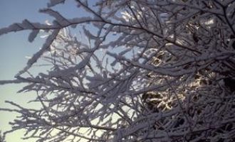 重磅！中共党员的127条禁令：条条绝杀 务必牢记_公开遴选