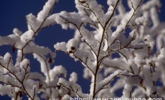 5794446_领导重视