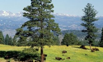 “失联”的毛洪涛和“挤走”三任党委书记的校长_党委书记