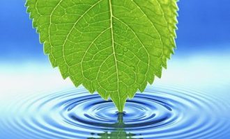 5345624_卫生局局长