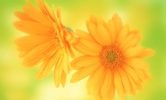 此《报告》提出：带薪年假纳入考核，并暗访！公职人员挺起来！_公务员考核