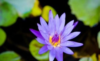 爬上屋顶的驴（深度好文）_安徽省省长