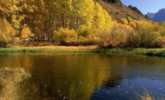 中央纪委：改革中务必严查严惩这六类问题，严！严！严！_公务员警察