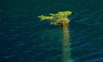 5年贪污300万，竟是为了买玩具_副市长