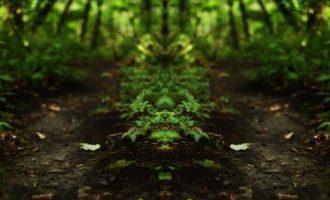 警惕！扶贫中的两大不良情绪（基层干部必读）_扶贫攻坚