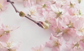 一头基层的驴（深刻）_农村基层