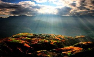 约54名干部因抗击新冠肺炎而牺牲！_支部委员