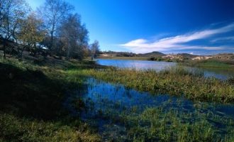 7605373_张家界市长