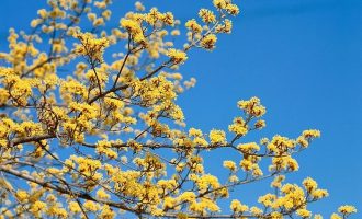 经典短文：人生就是五块钱_年度总结