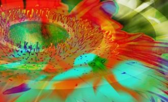 年终奖从0到10w，这个能力_人大主任