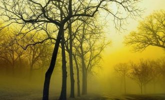 【推荐】告诉你关于工资的三个秘密_公务员工资