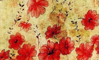 “90后”女副县长郑睿臻，职务调整_公务员职务