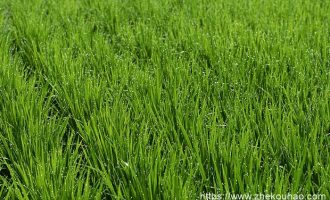 关于国庆节后公职人员调休及补助最新标准的通知！_会议通知