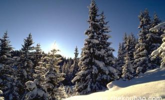 美企就差喊了：我们需要中国！_中国政坛