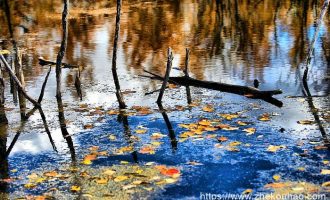 官场微小说：约定_信访工作