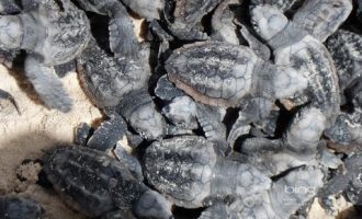 教授、资深律师、法官、检察官传授金融犯罪办案经验_法官助理