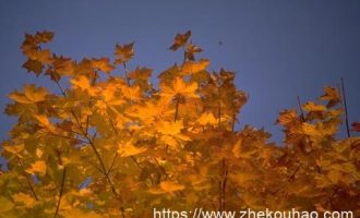 在机关单位，这种小事最见人品！_考事业单位