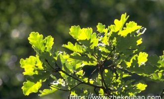 【2万字合集】政治建警教育相关材料汇编，坚持从严治警，坚定政治信仰！_职工