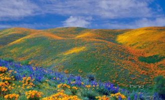 意识形态专题党课：提升党员干部意识形态能力，倾情奉上！_党员干部