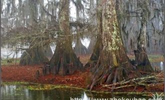 警惕！党员干部乱发微信会被处分：这八条规矩千万别碰，都是炸雷！_政工处