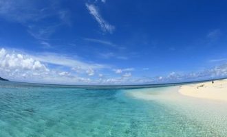 “新冠肺炎”紧急状态，16类行为涉嫌犯罪！_干部相关词_1646788150