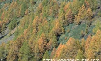 国土系统常见违纪违法环节盘点_国土局局长