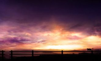 2019年12月7日赤峰市直机关遴选公务员笔试真题及答案解析_遴选不按考试成绩录取