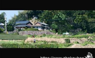 2020年纪委遴选实务：李某的瞒报个人有关事项行为应如何认定_公安遴选是啥